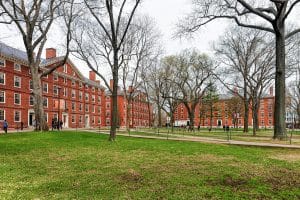 Harvard international student ban 4